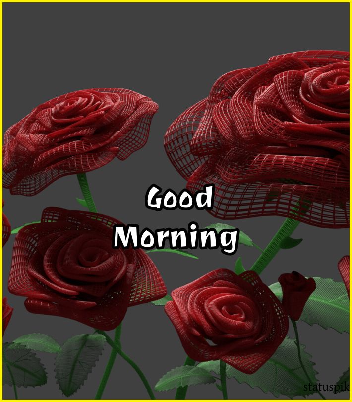rose good morning images