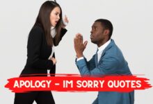 Apology Quotes - Im Sorry Quotes