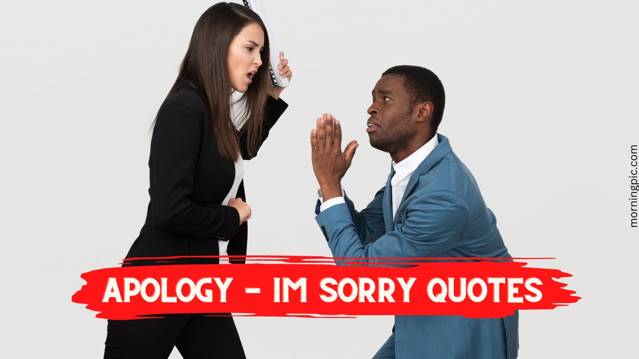 Apology Quotes - Im Sorry Quotes