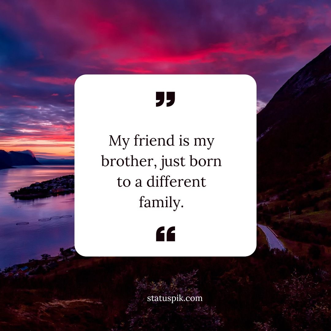 Friend Like Brother Quotes
