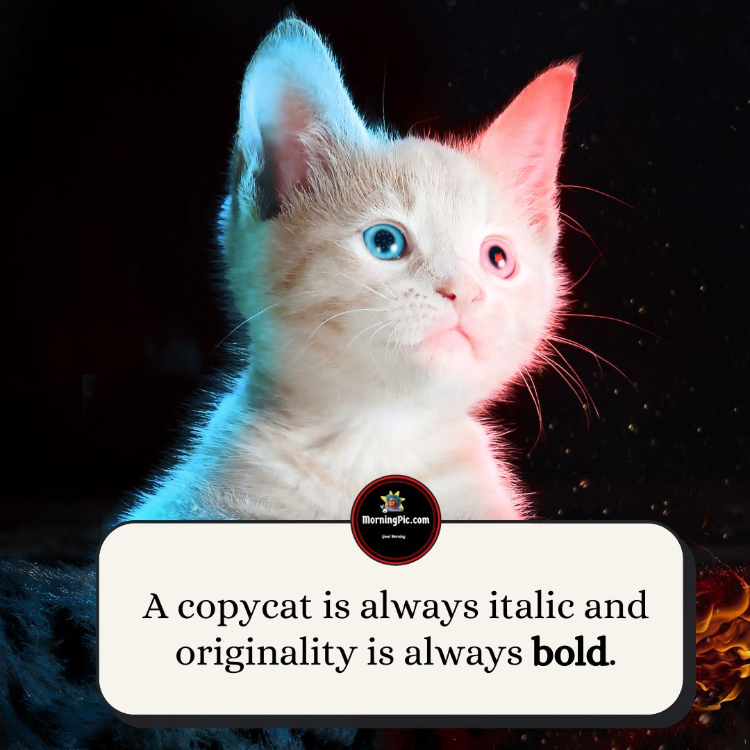 Copy cat quotes