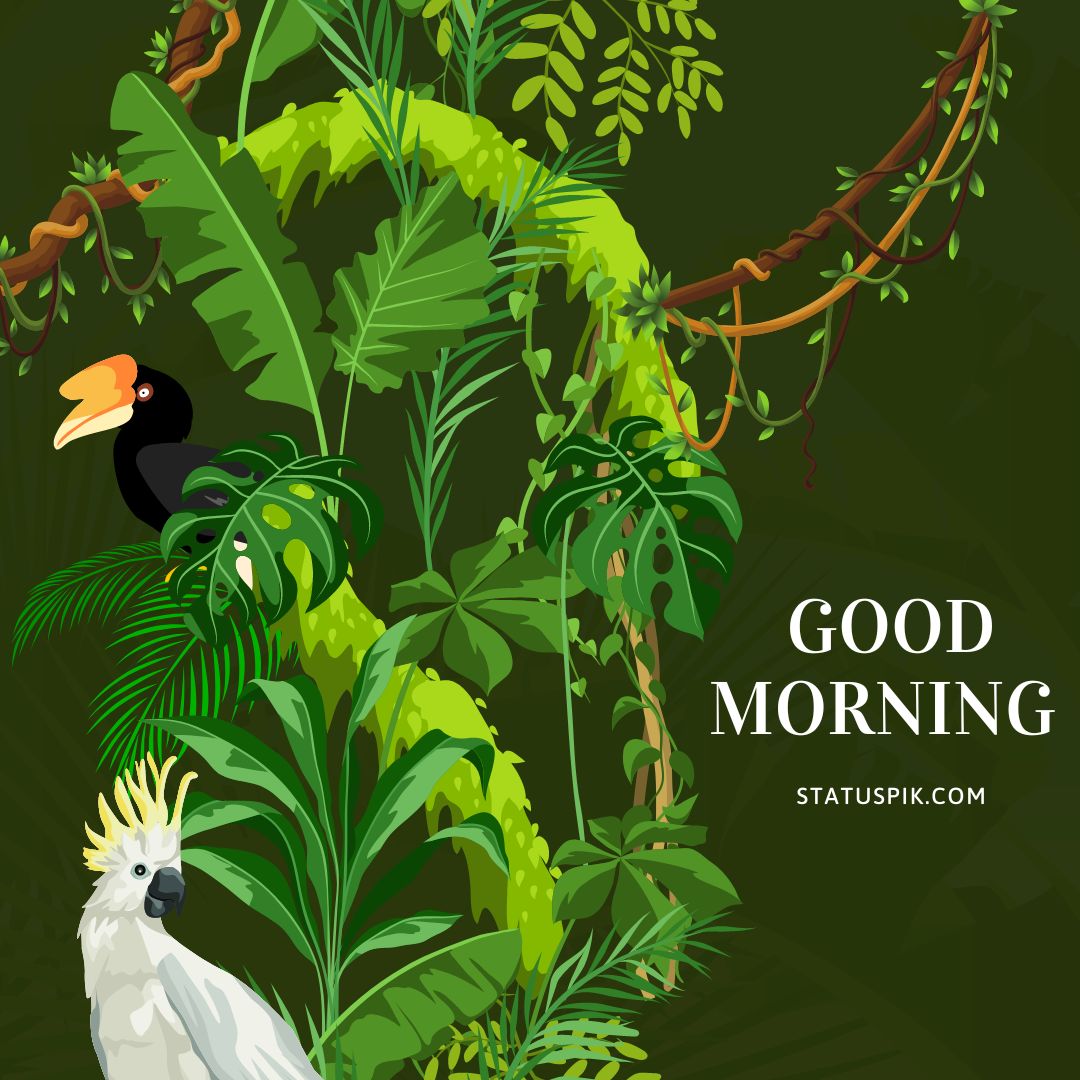 Good Morning Birds