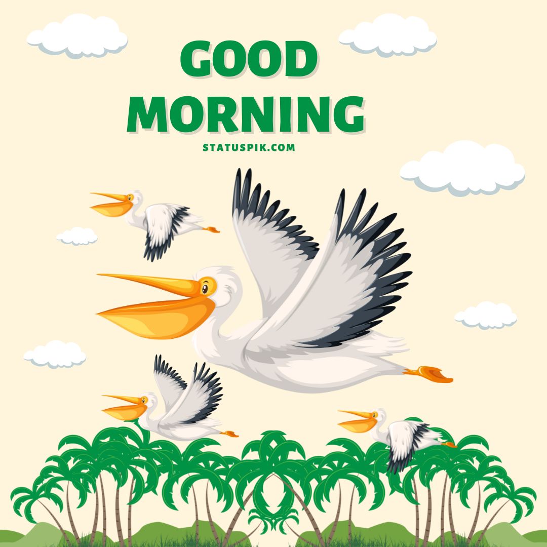 Good Morning Birds