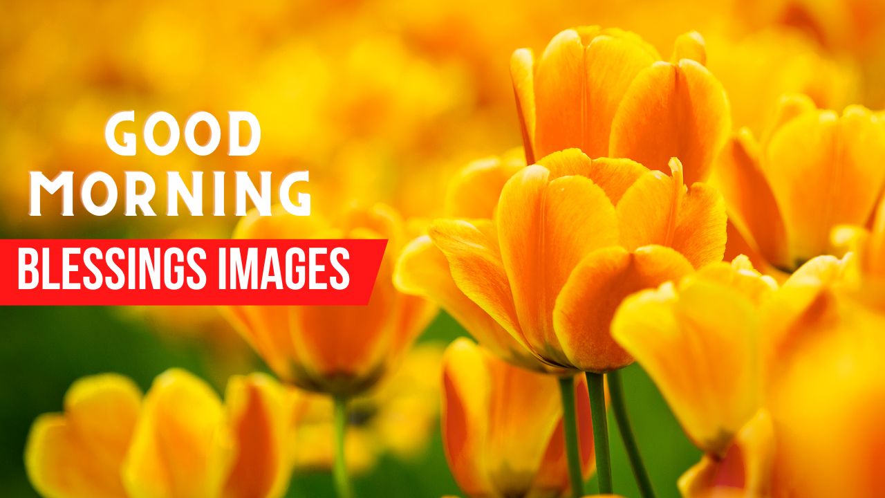110+ Good Morning Blessings Images For A Happy Day Ahead