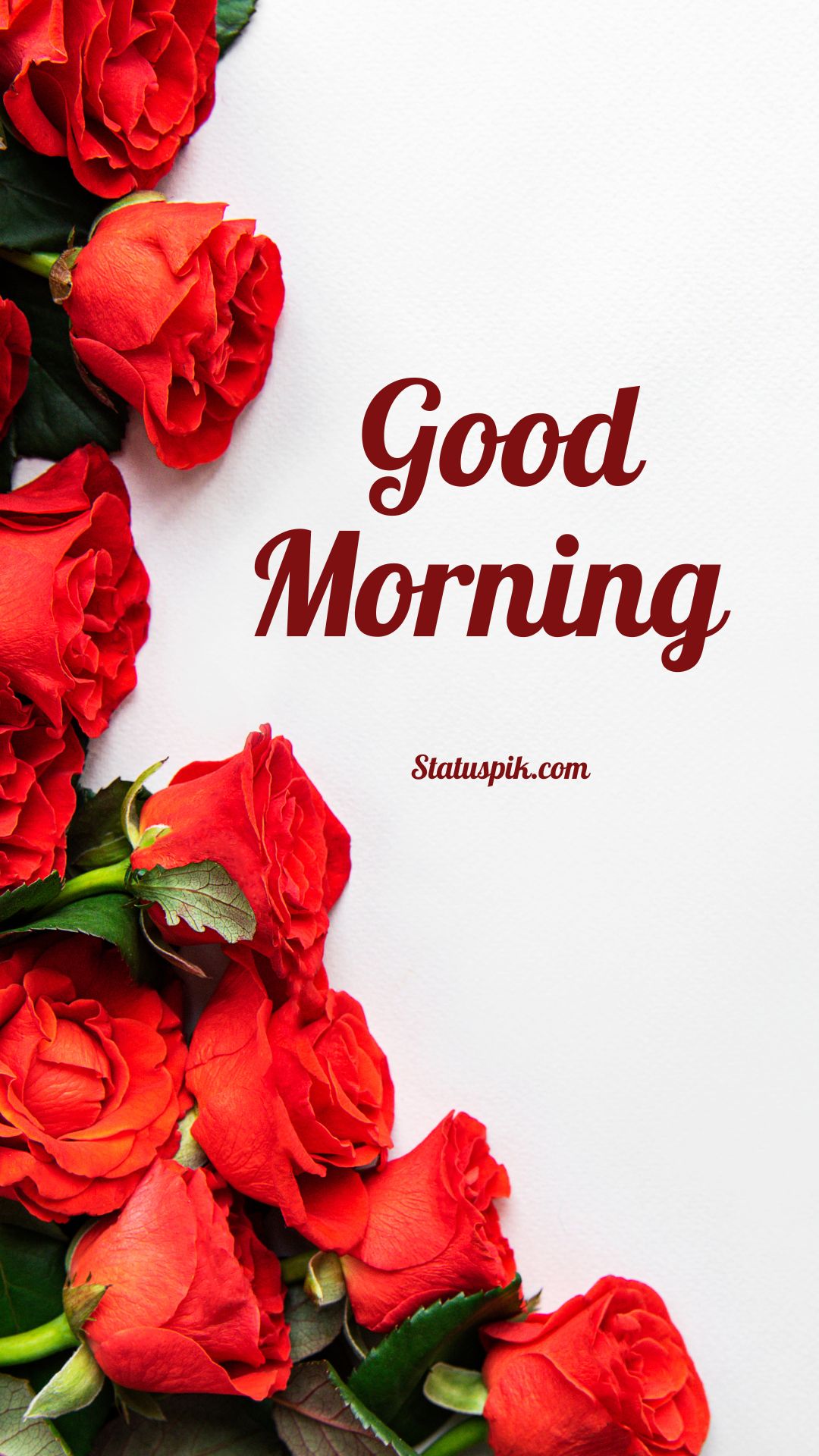 Good Morning Red Rose Images