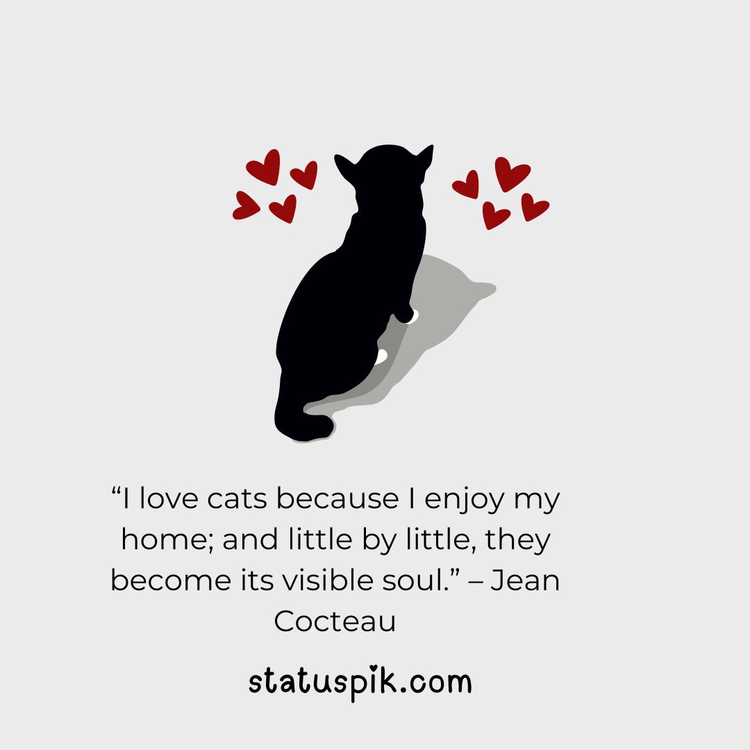 cat love quotes