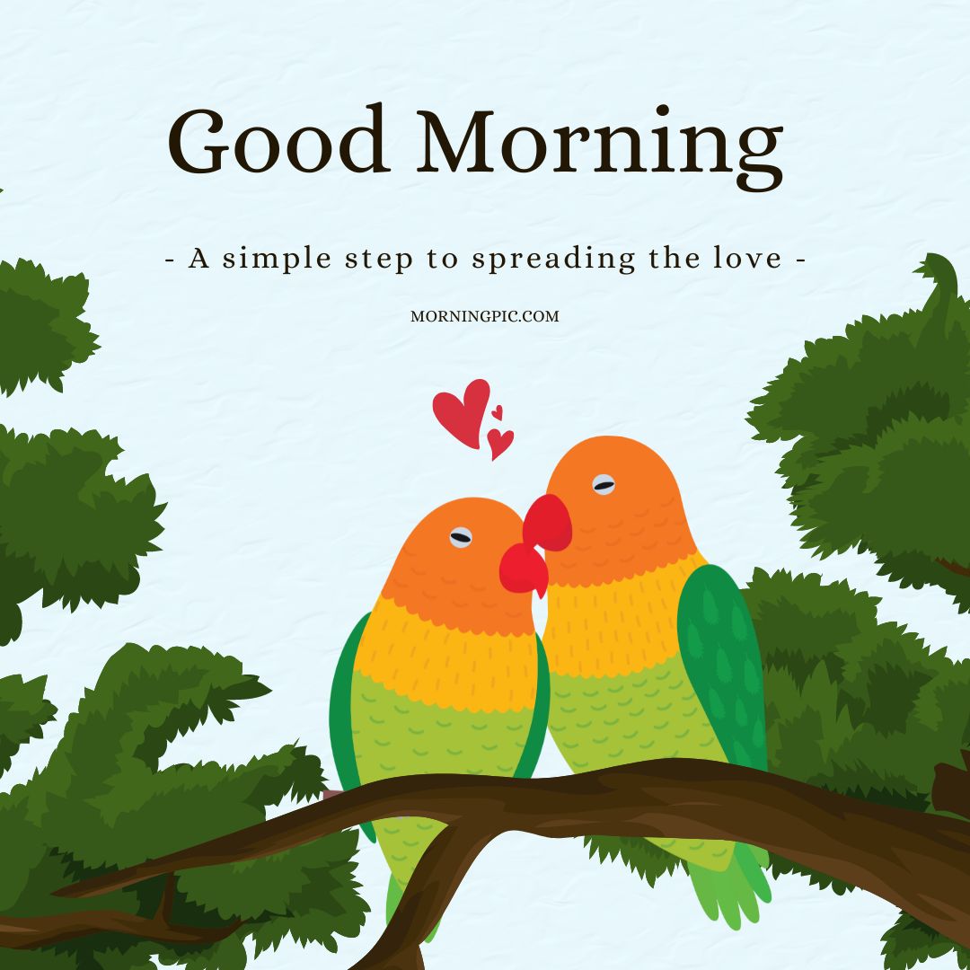 good morning love birds images