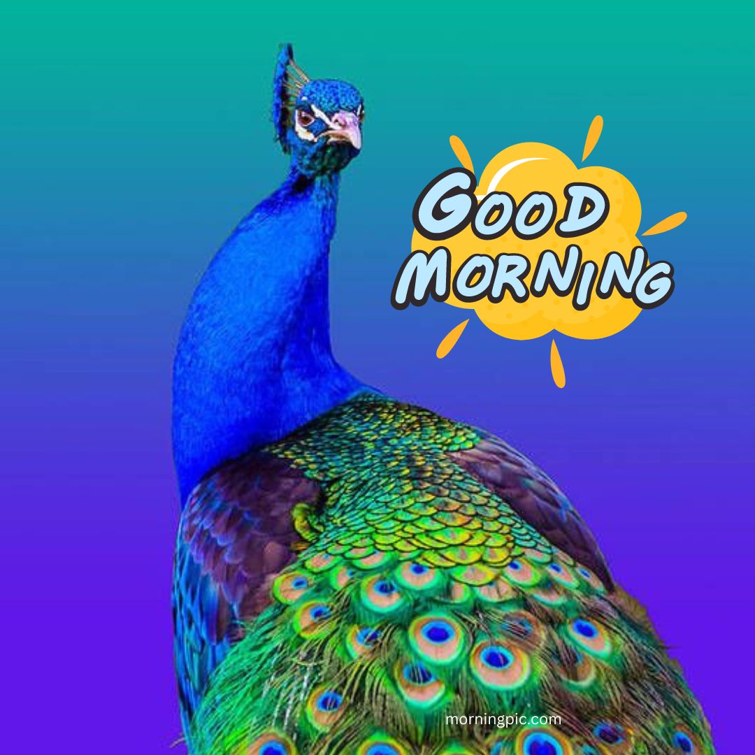 good morning birds images