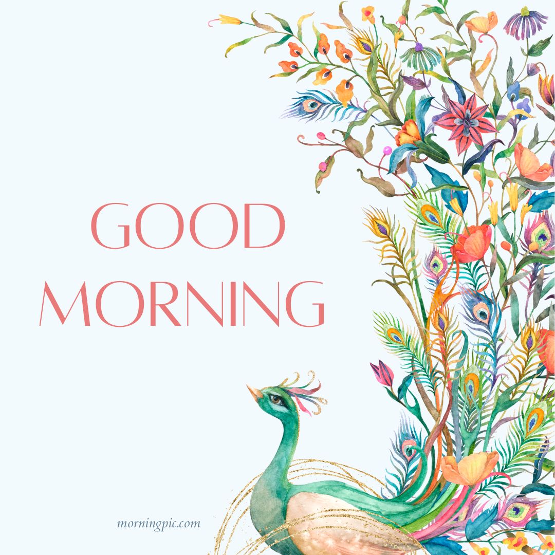 good morning peacock images