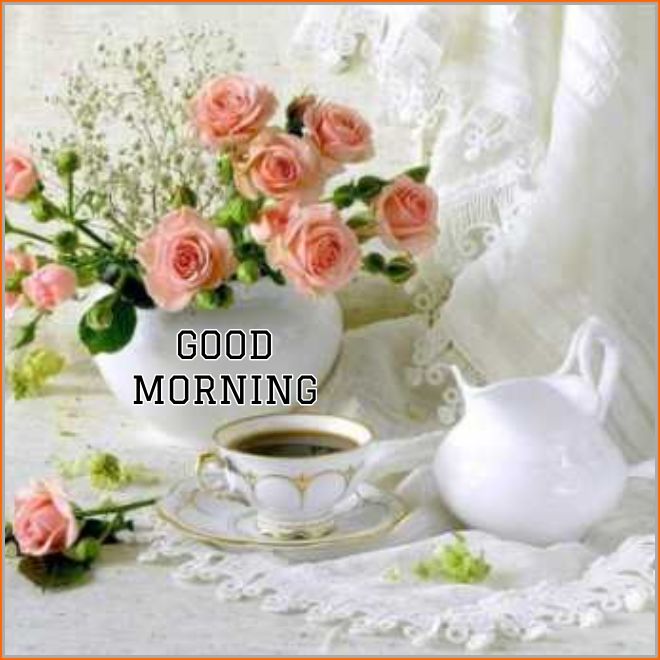 good morning flowers images