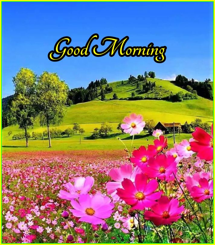 good morning nature images hd