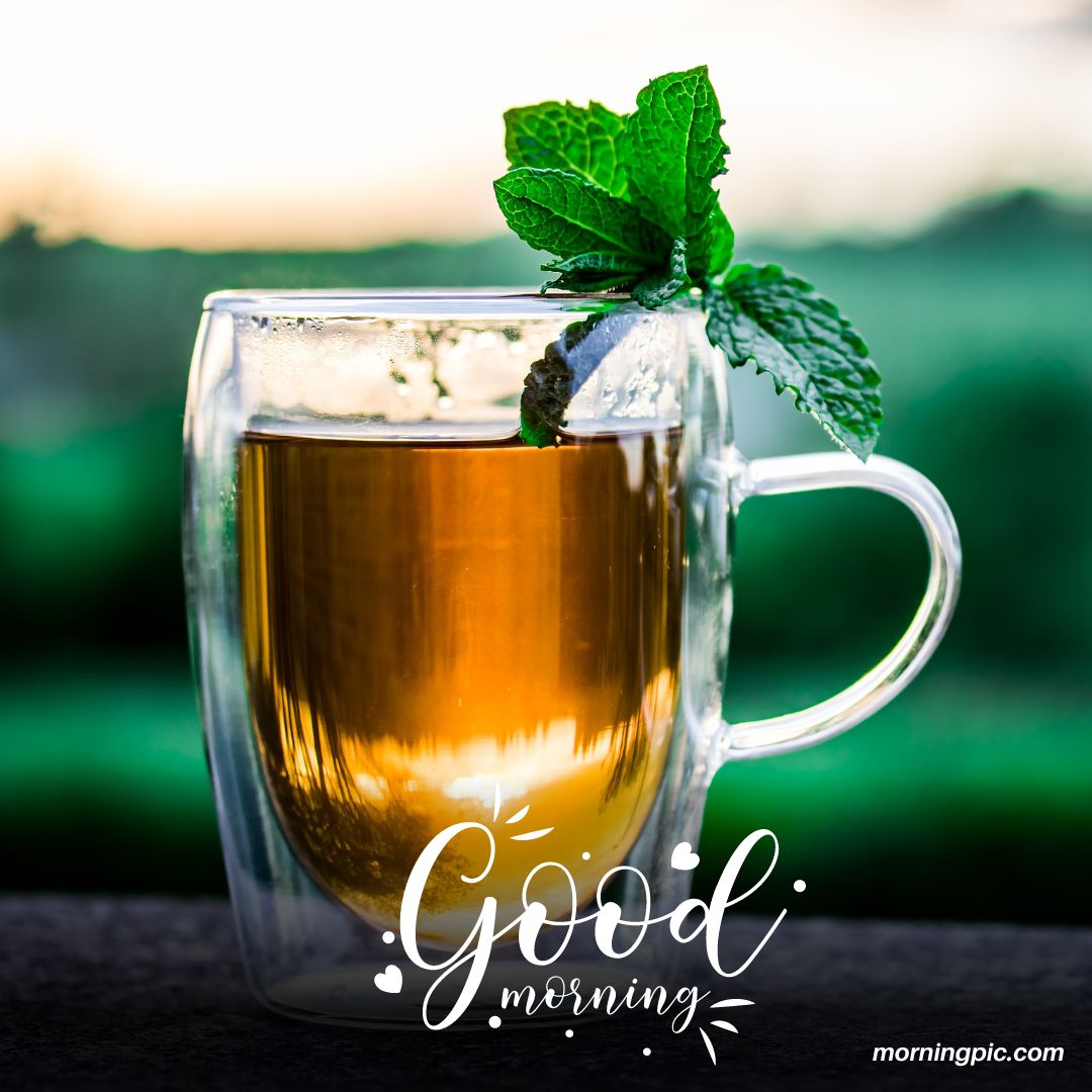 good morning tea images