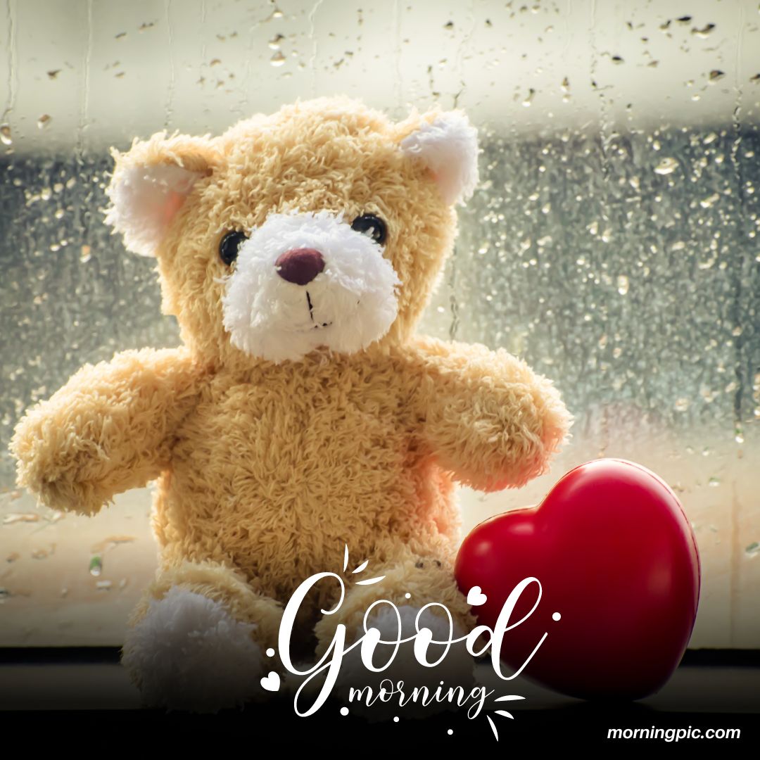 good morning teddy bear