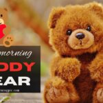 good morning teddy bear 40