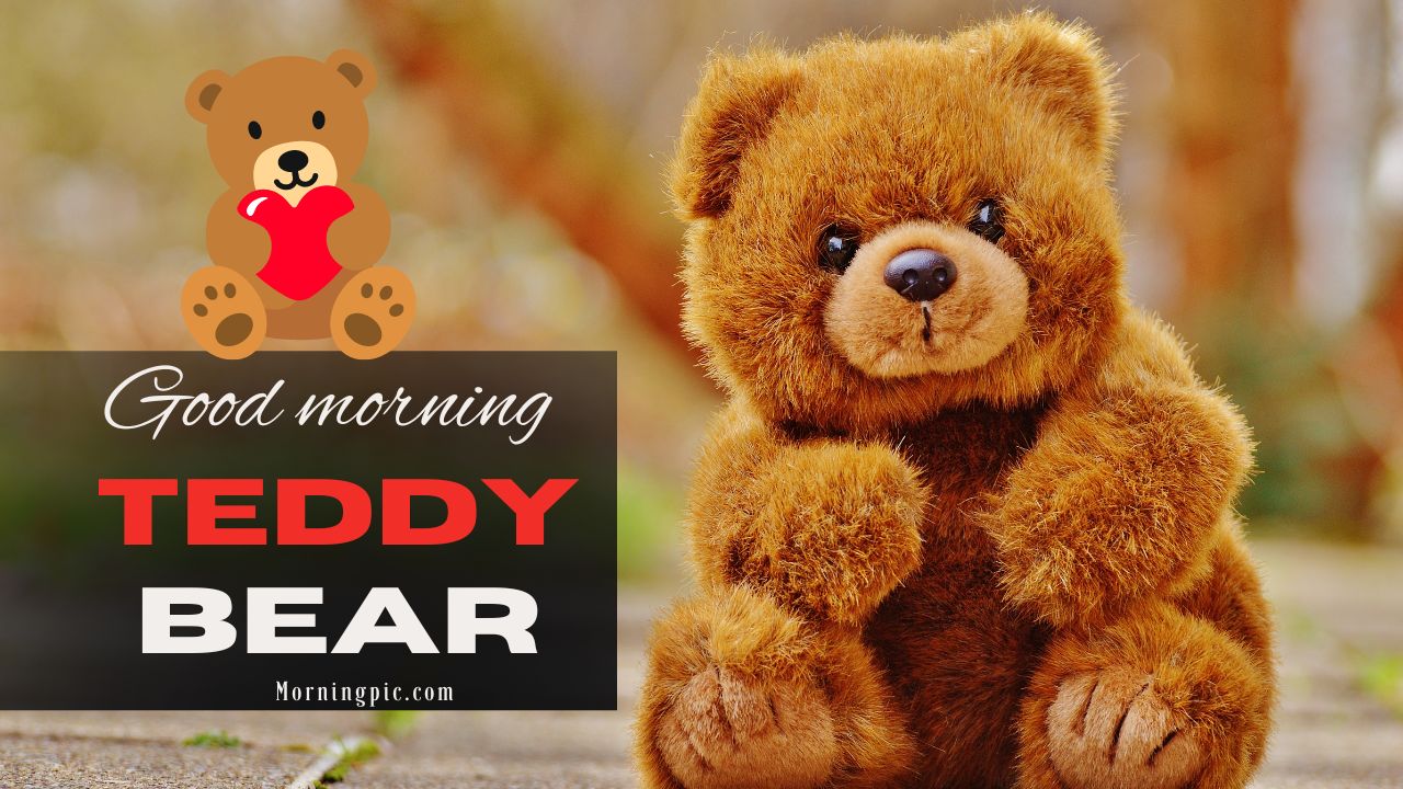 good morning teddy bear 40