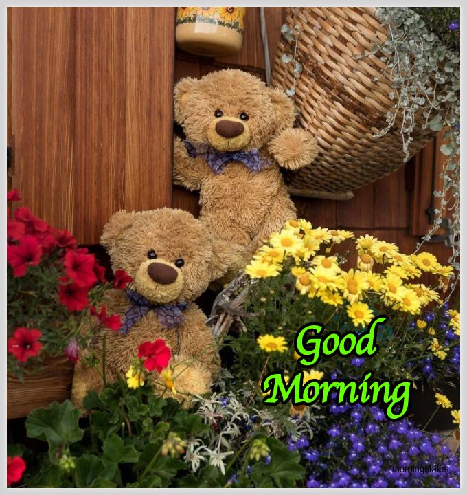 teddy bear good morning