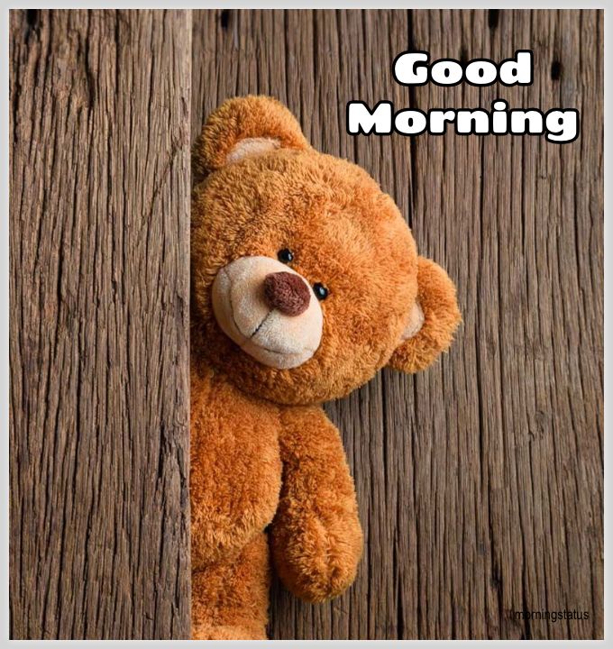 teddy bear good morning