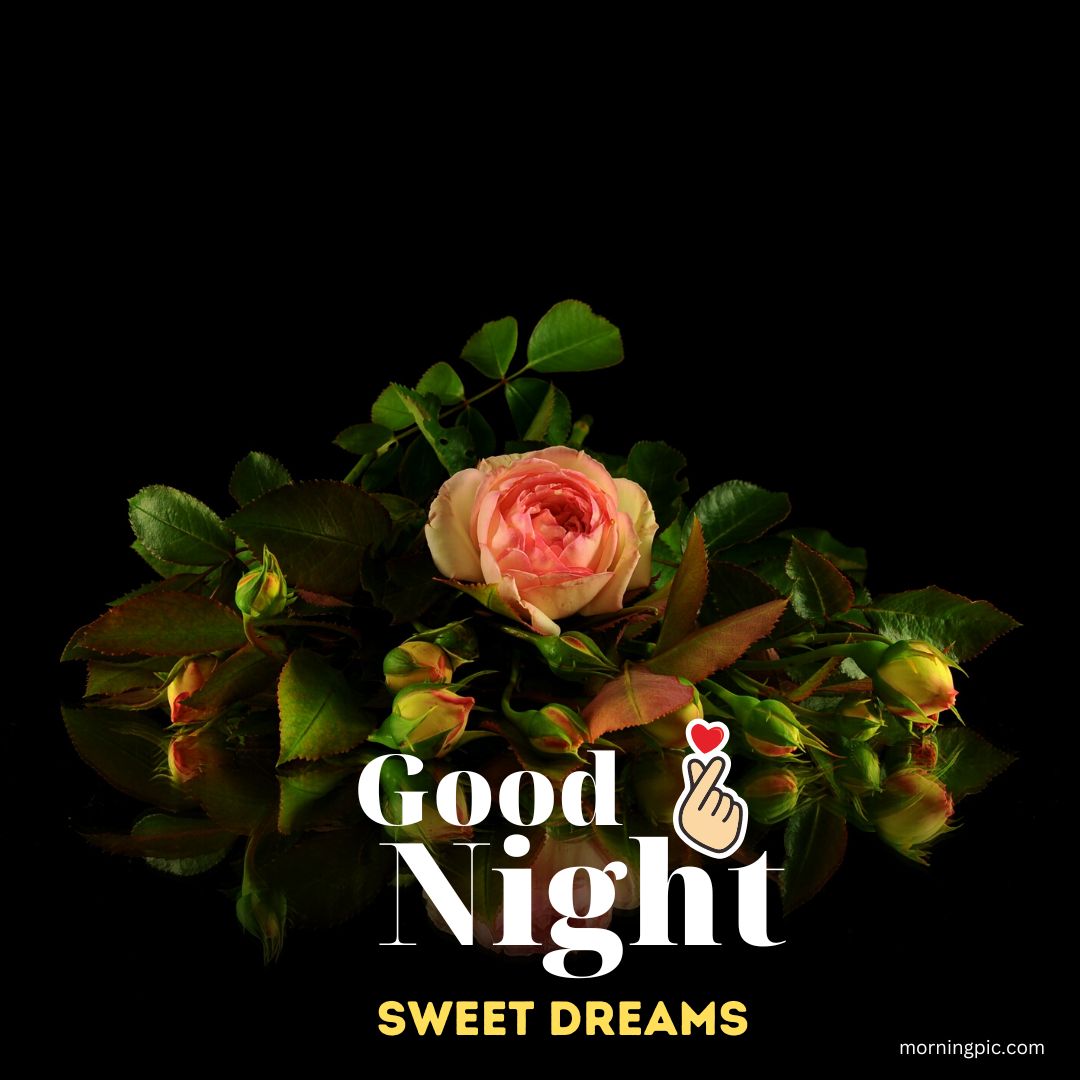 Beautiful Sweet Dreams Good Night Images