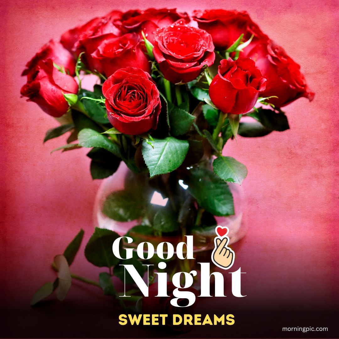 300+ Beautiful Sweet Dreams Good Night Images Photos In 2023 - Morning Pic