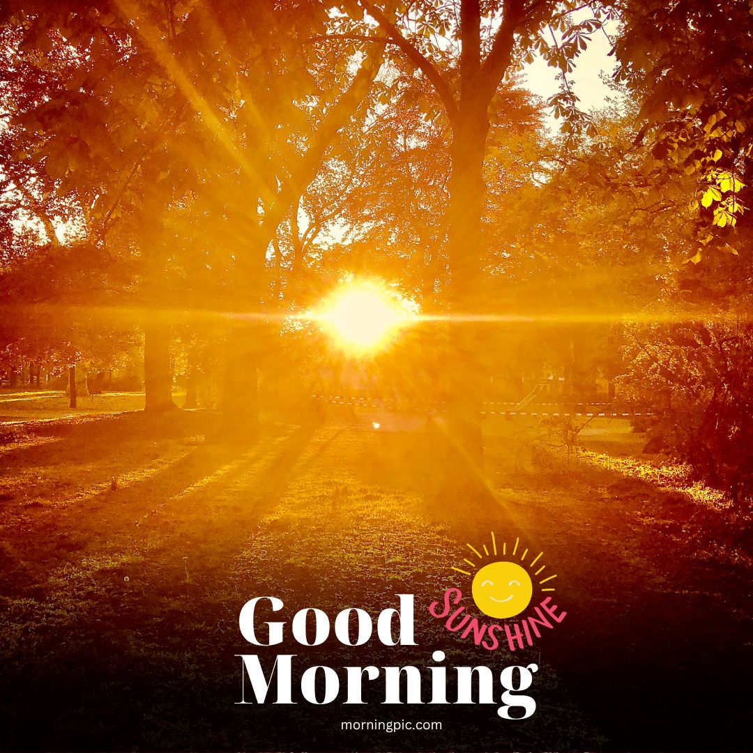 Good Morning Sunshine Images