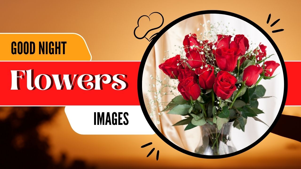 350+ Beautiful Good Night Flowers Images { Romantic Flowers } - Morning Pic