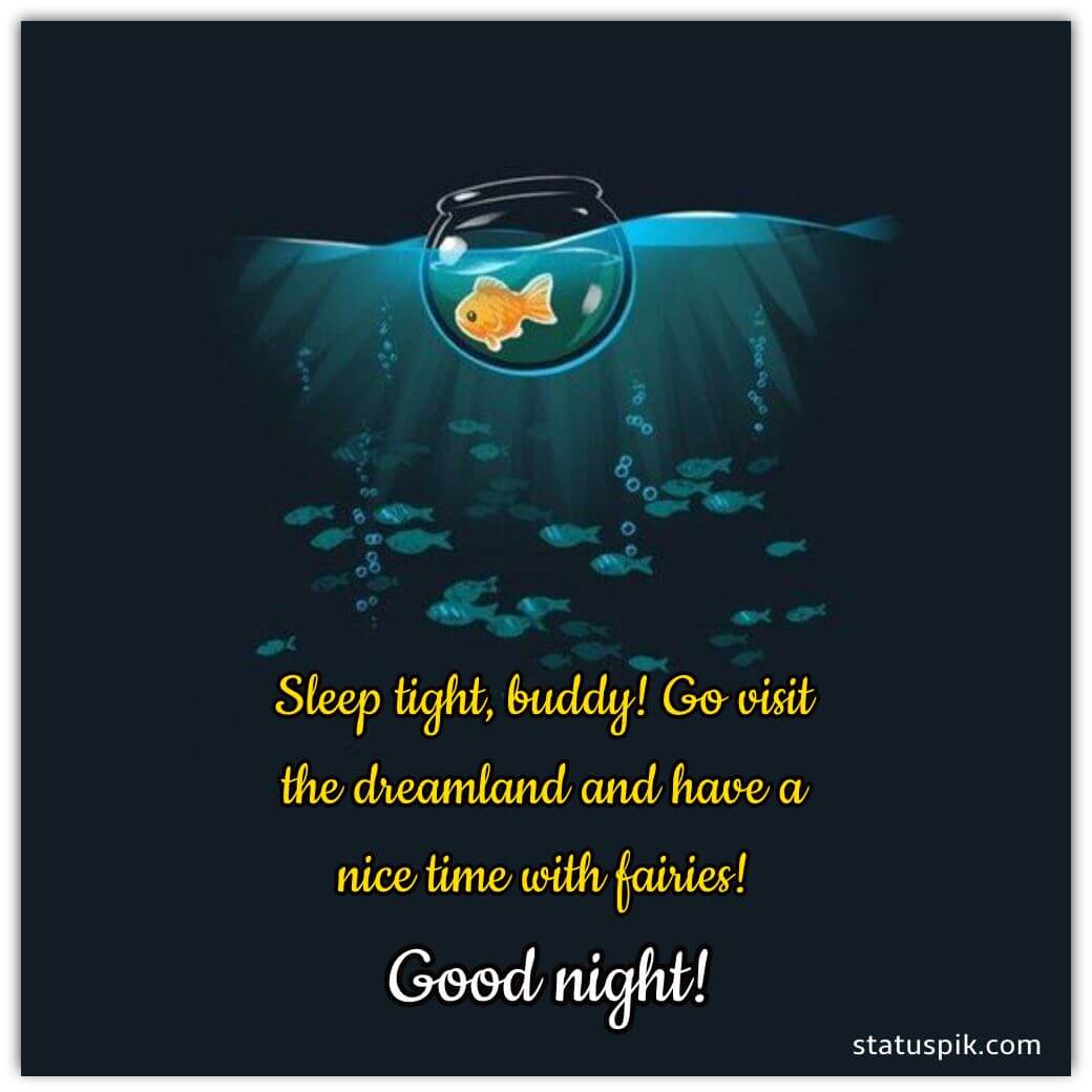 Good Night Quotes For Friends in English