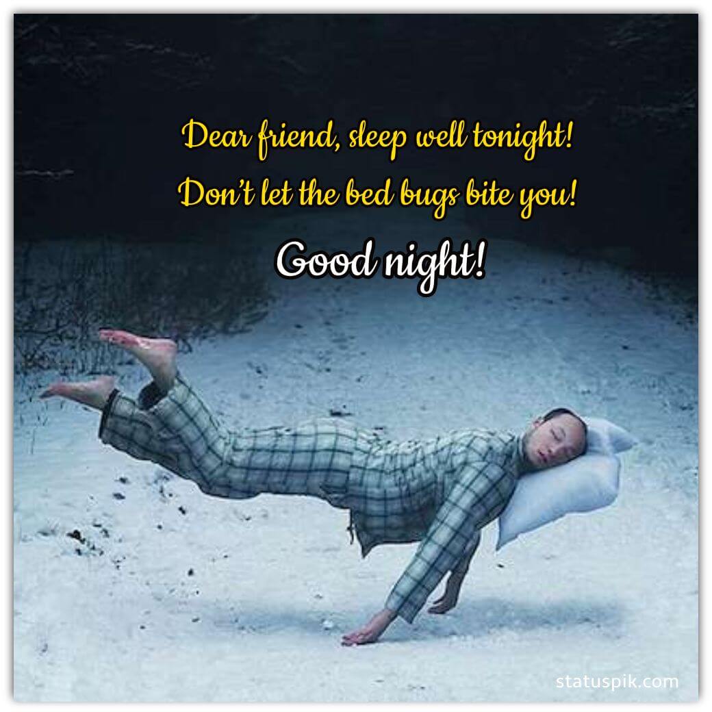 Good Night Quotes For Friends in English