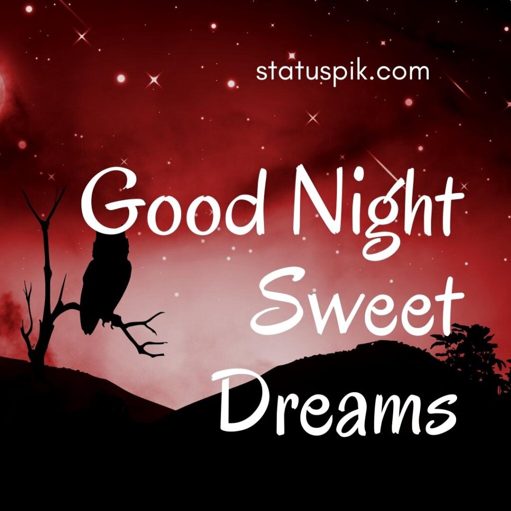 Beautiful Sweet Dreams Good Night