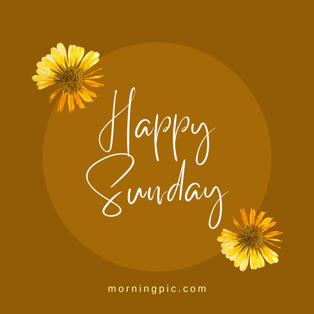 Amazing Collection of Happy Sunday Images HD in Full 4K – Over 999+ Top-Quality Pictures