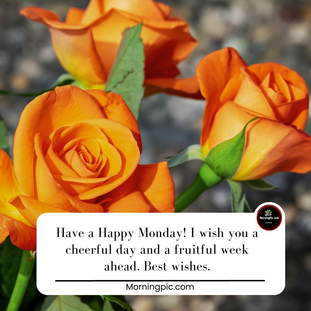 Monday greetings / wishes images
