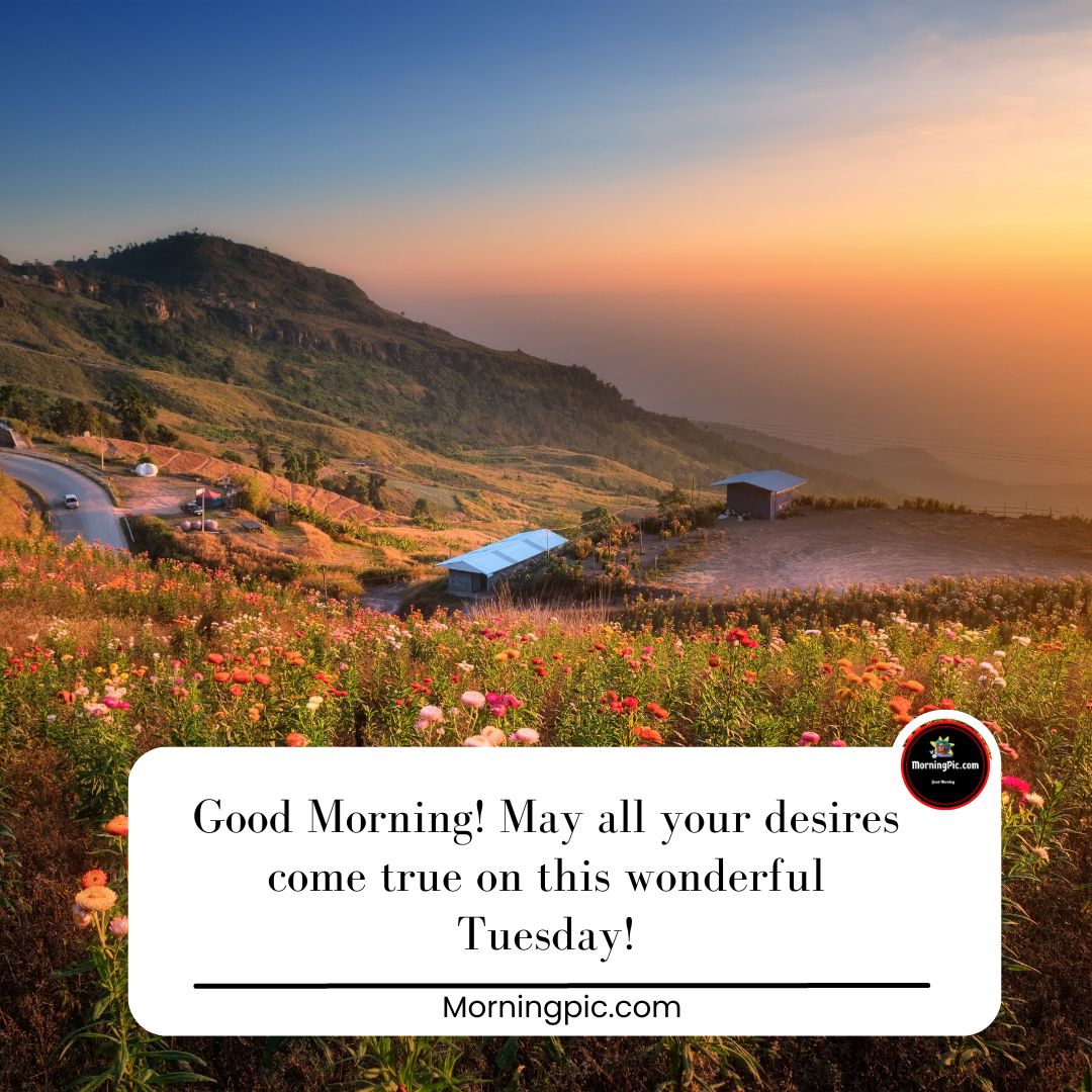 Tuesday greetings/ wishes images