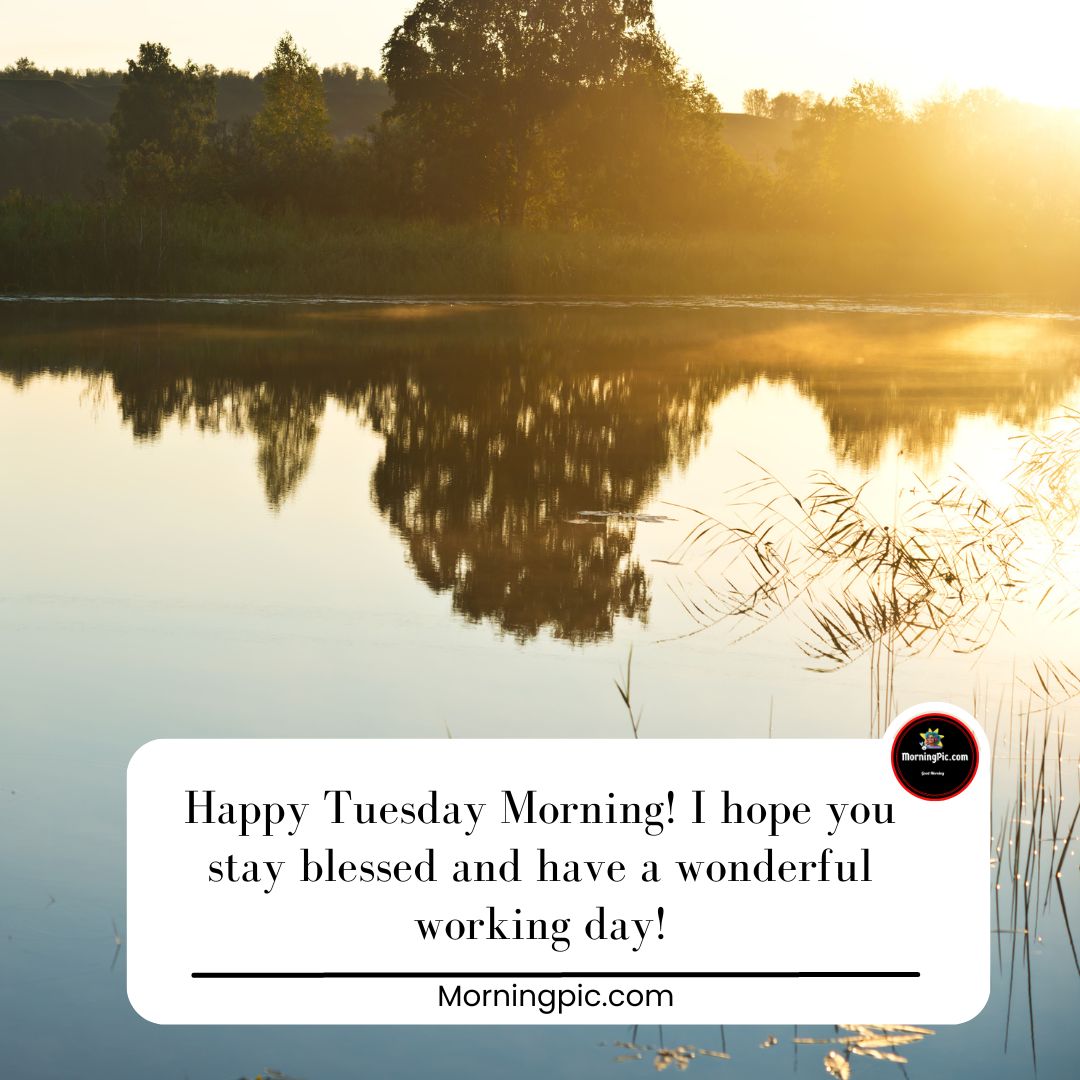 Tuesday greetings wishes images