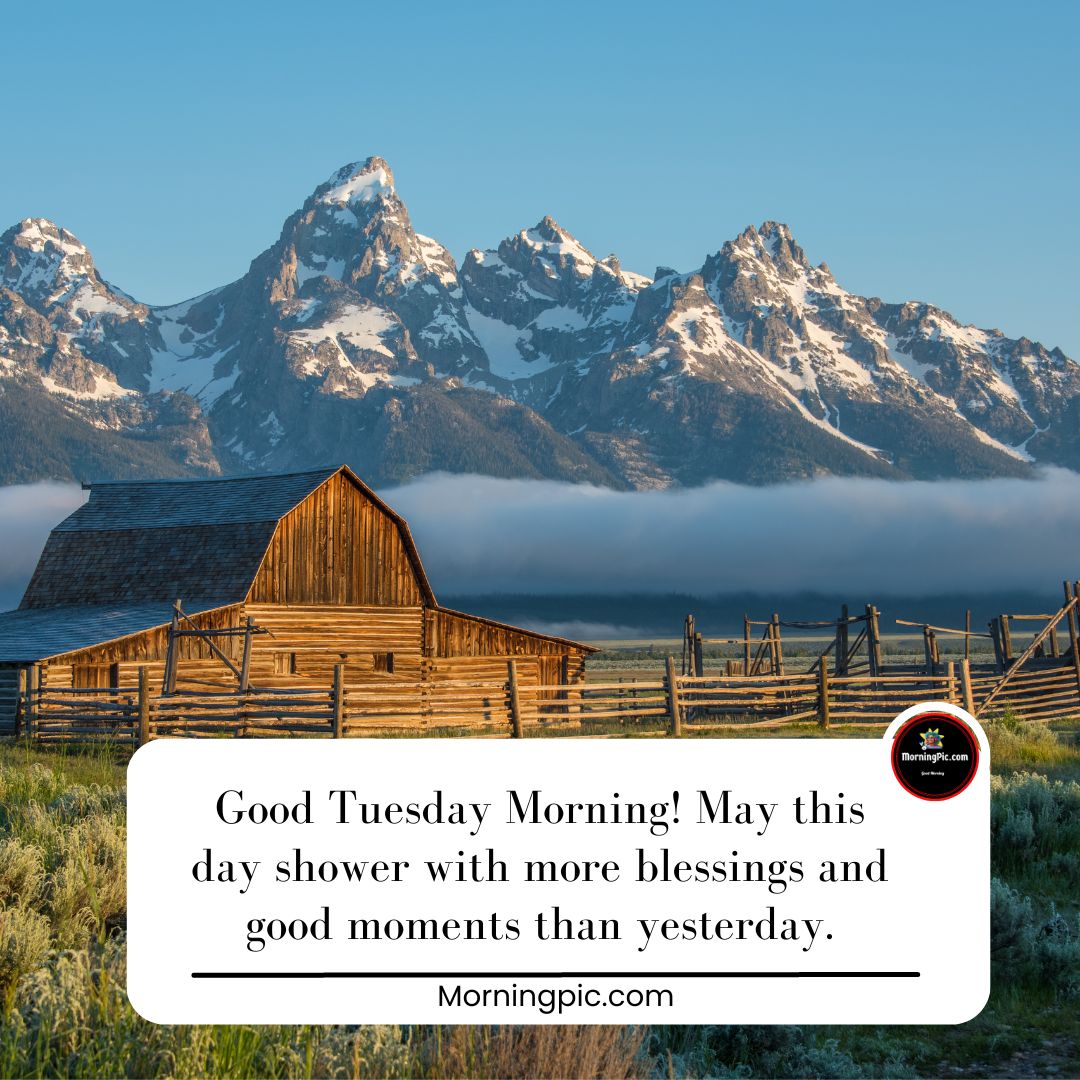 Tuesday greetings wishes images 