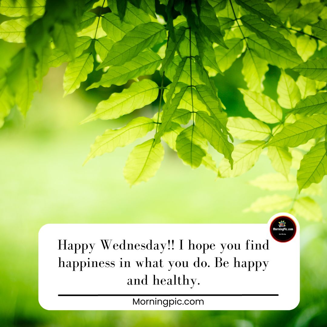 Wednesday greetings/ wishes images