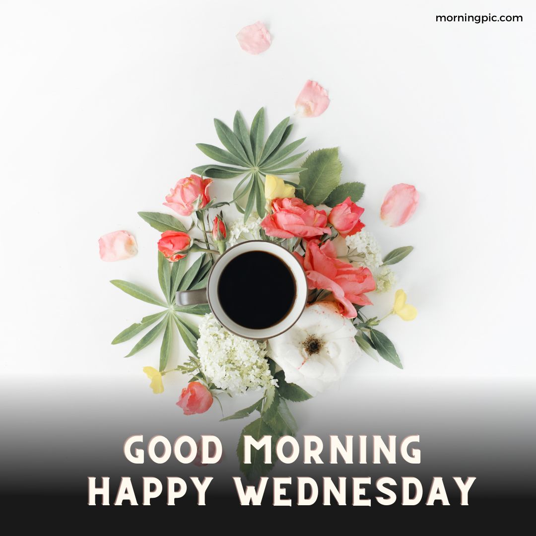 good morning happy wednesday images