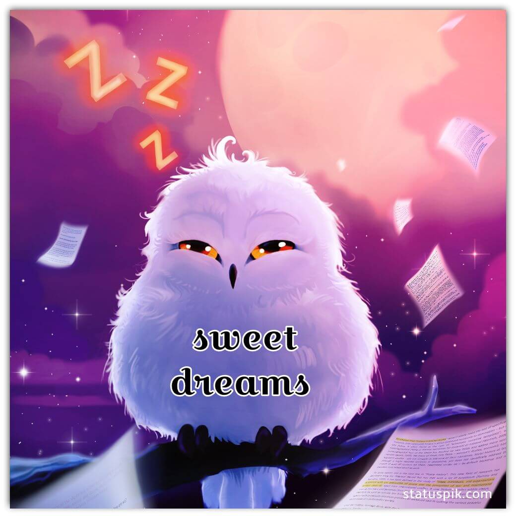 good night and sweet dreams