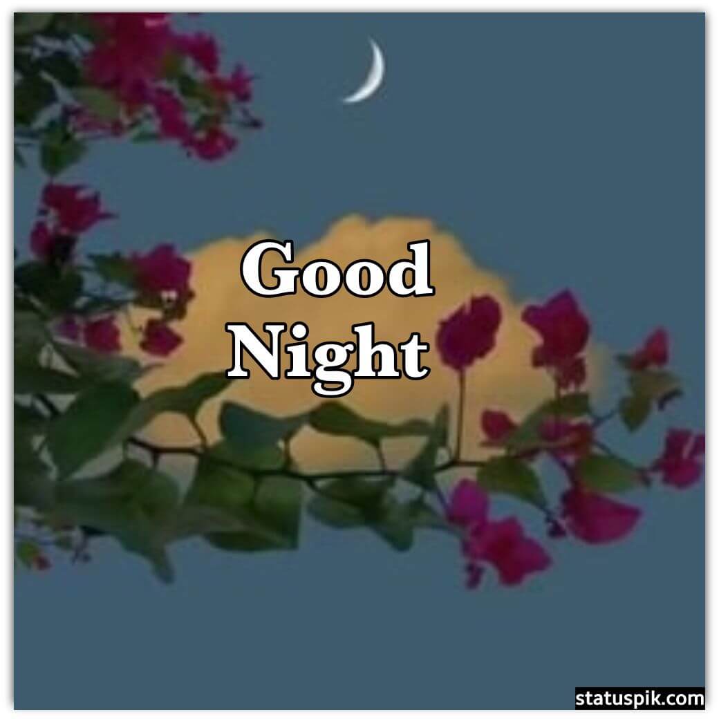 good night flowers