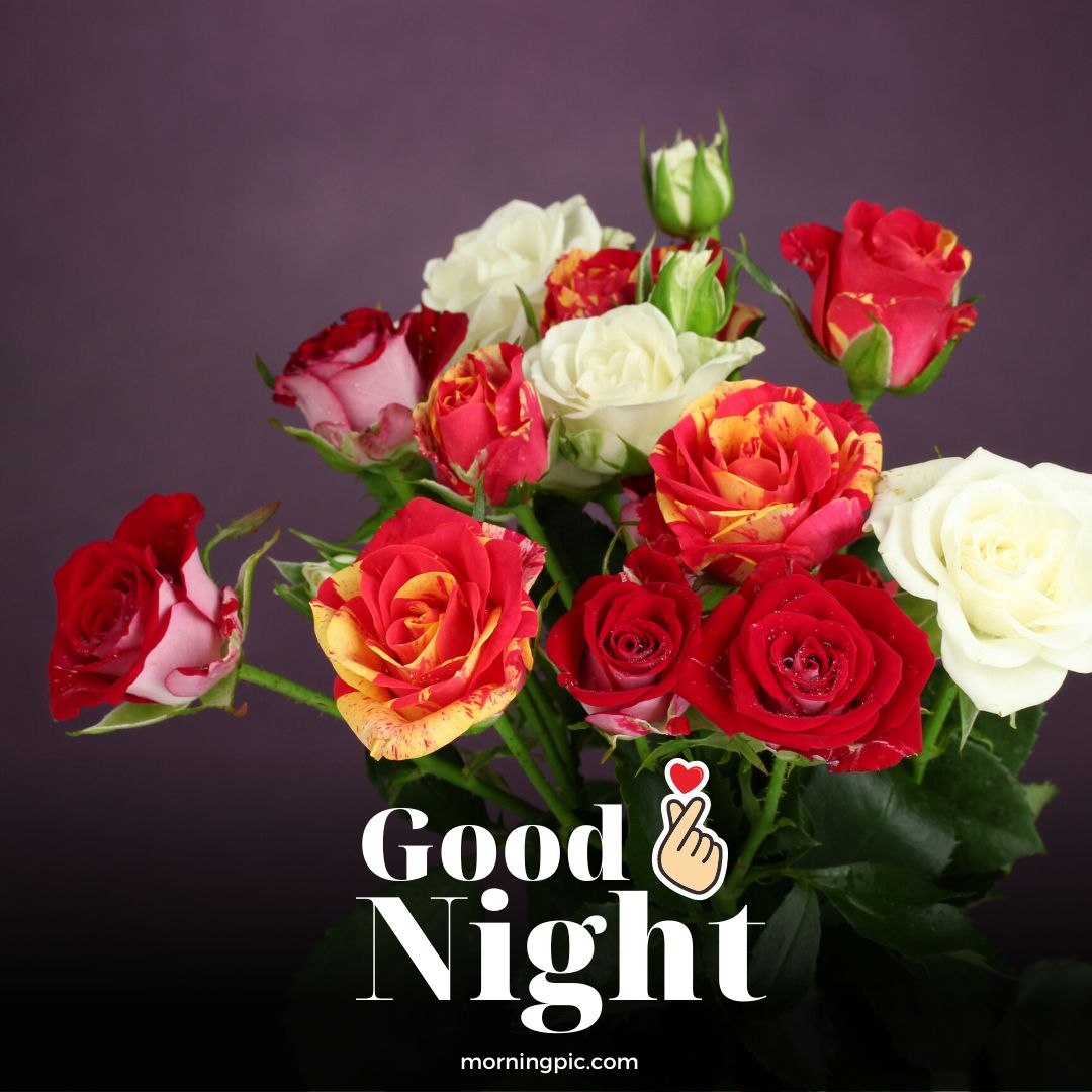 350+ Good Night Flowers Images For A Calm Night's Sleep