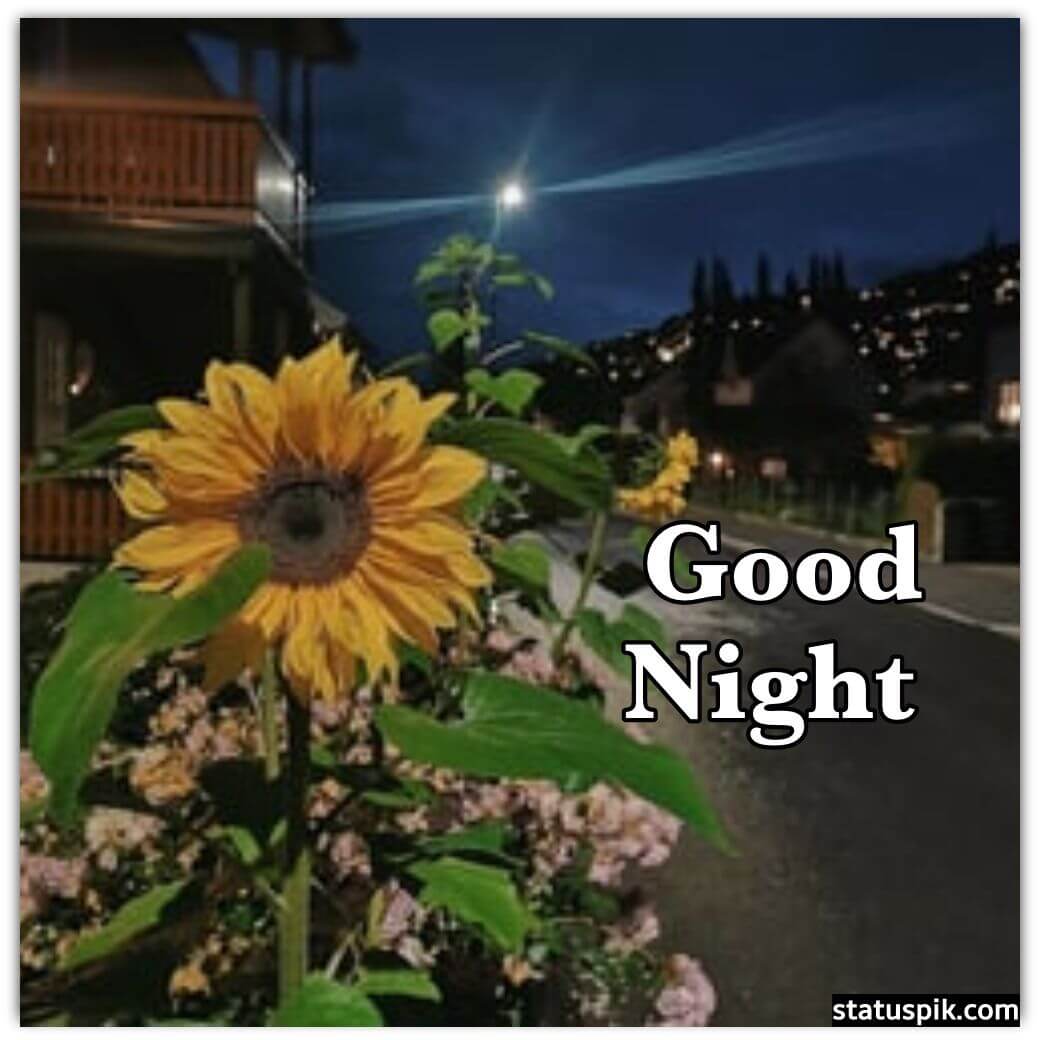 good night with flowers