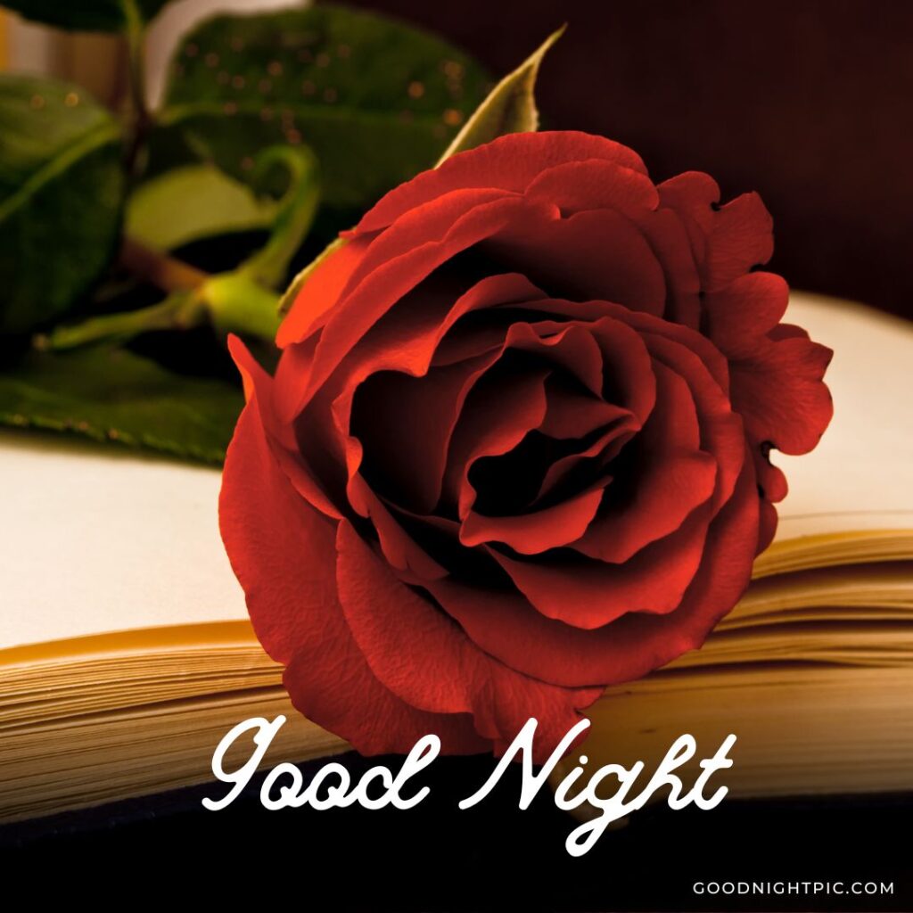 romantic good night images 