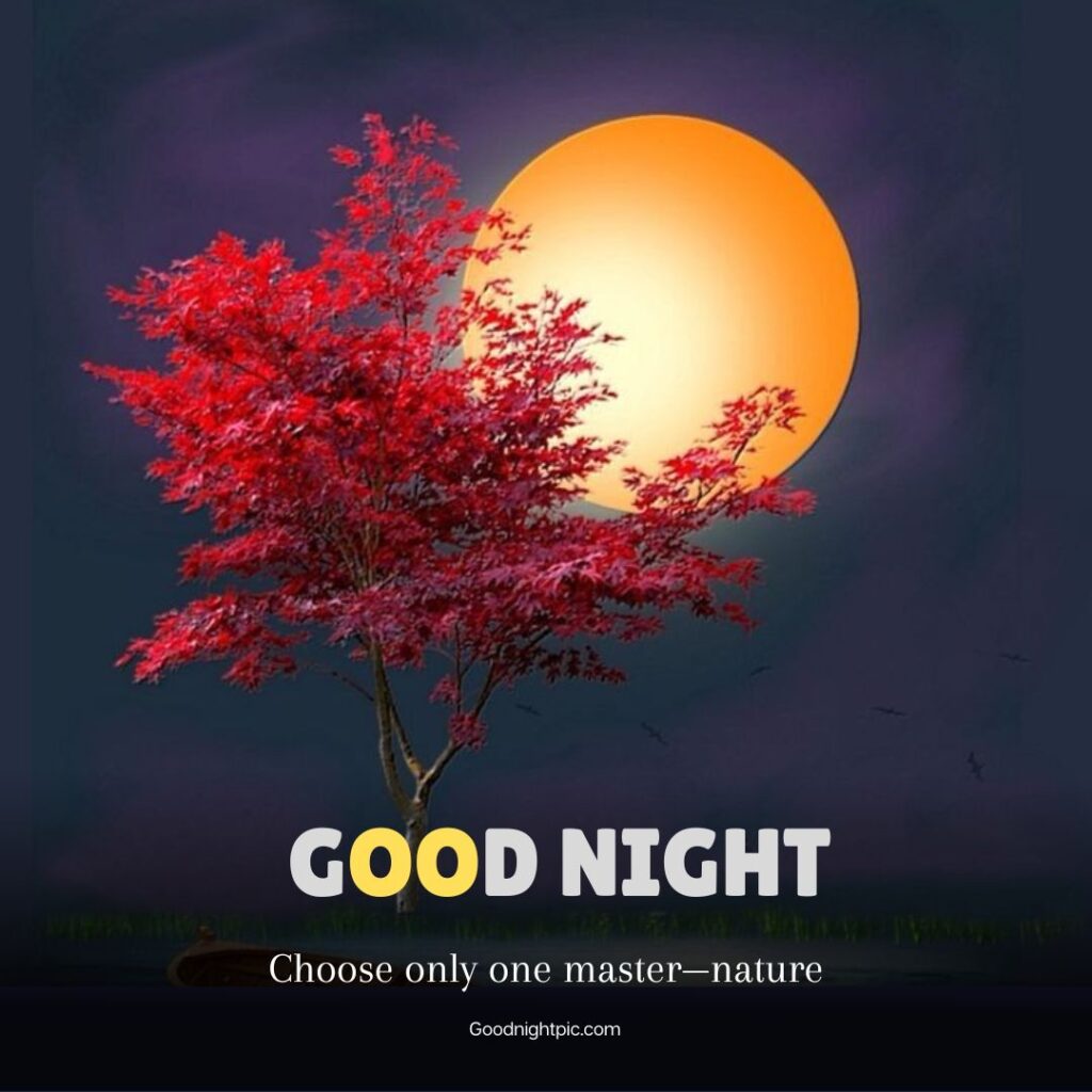 good night nature images