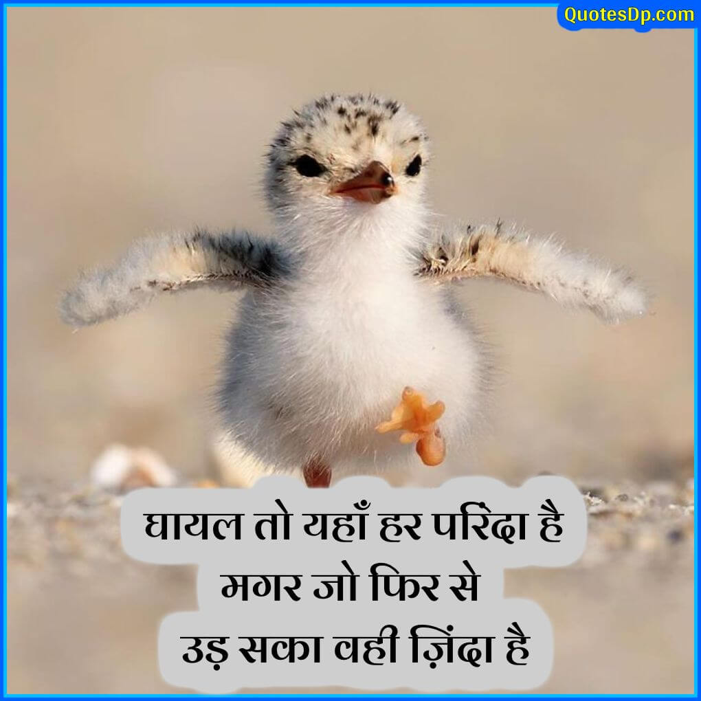 inspirational quotes on life in hindi