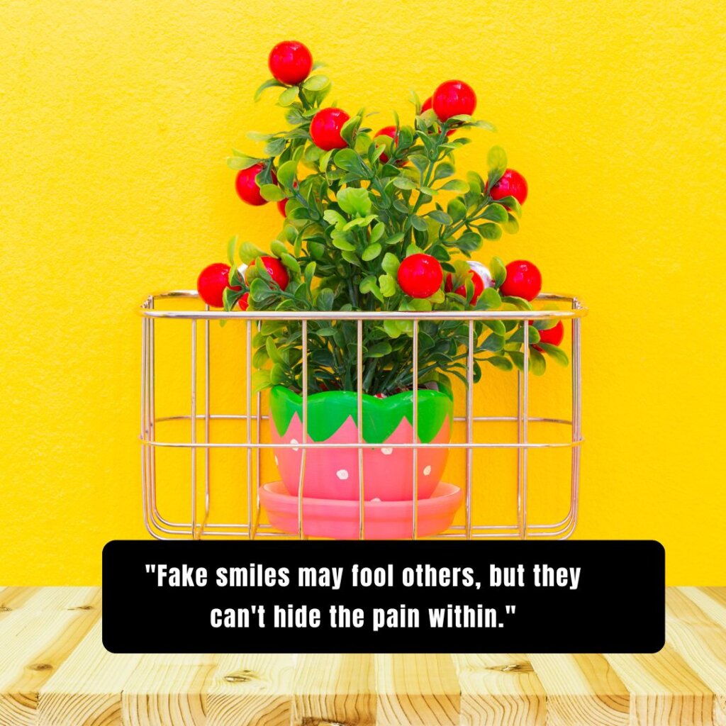 Fake Smile Quotes