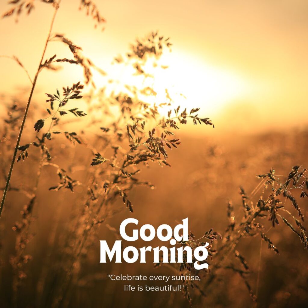 Good Morning Images with Positive Words