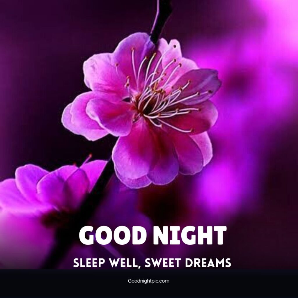 good night flowers images