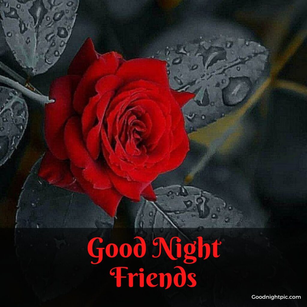 friend sweet good night images