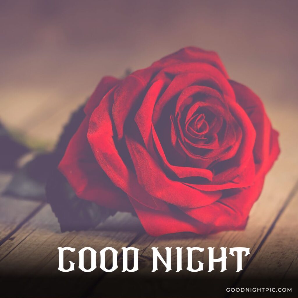 romantic good night images 