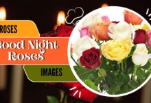 good-night-roses-images
