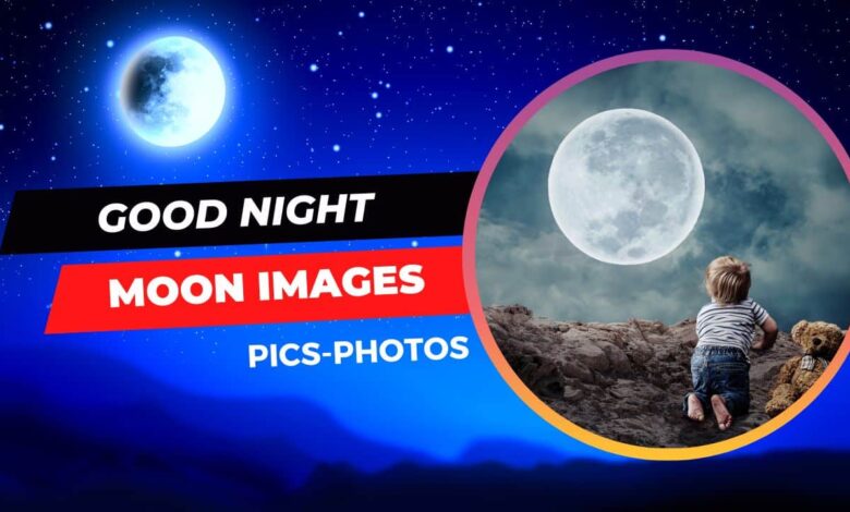 Good-night-moon-images