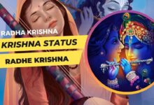 Krishna Status for WhatsApp
